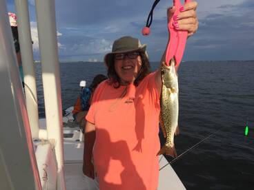 Navarre Report Photo 1