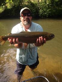 Blue Ridge Report Photo 1