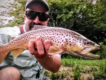 Blue Ridge Report Photo 2