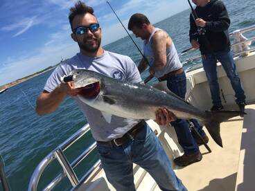 Montauk Report Photo 1