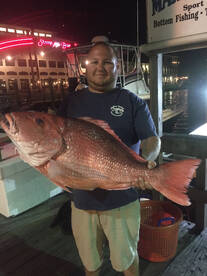 The Red Snapper Bite Is RED HOT Book NOW