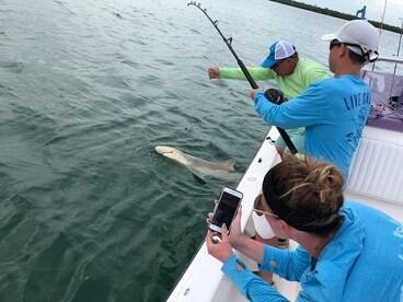 Inshore and Offshore in a day