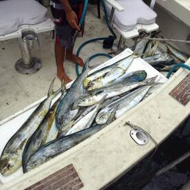 Bridgetown Report Photo 1