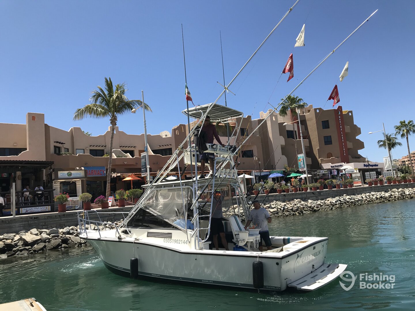 Cabo San Lucas Report Photo 0