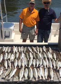Hammer Trout Redfishcharterco