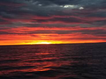 Conneaut Report Photo 1