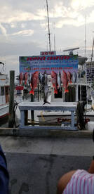 Biloxi Report Photo 1