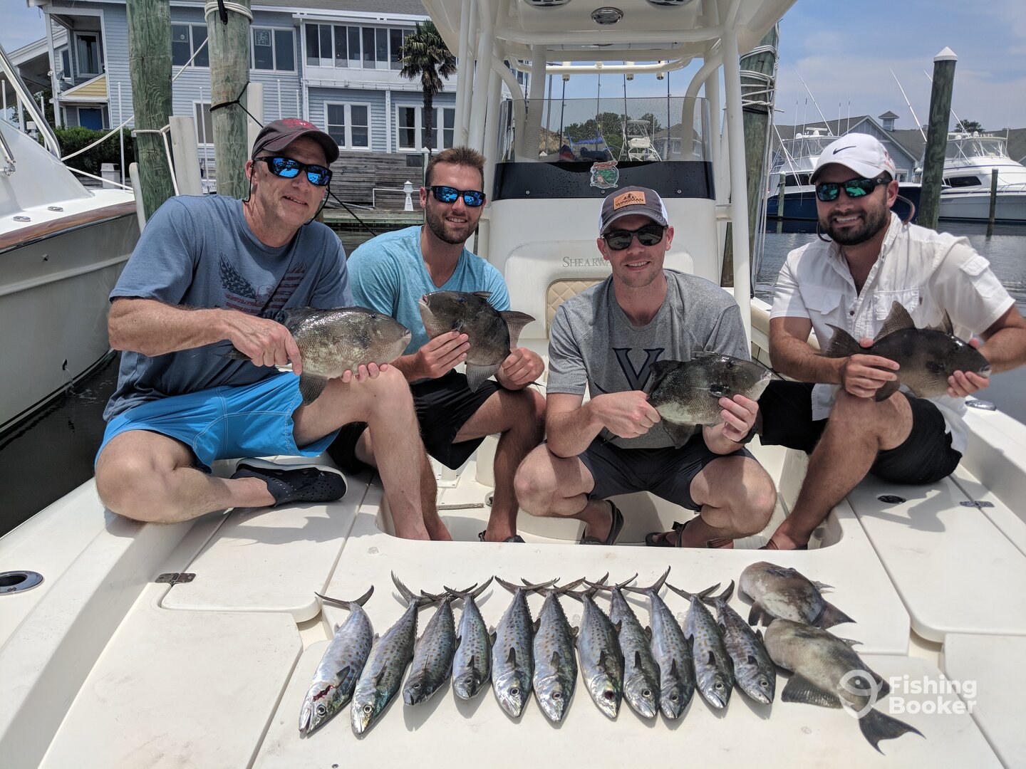 Manteo Report Photo 0