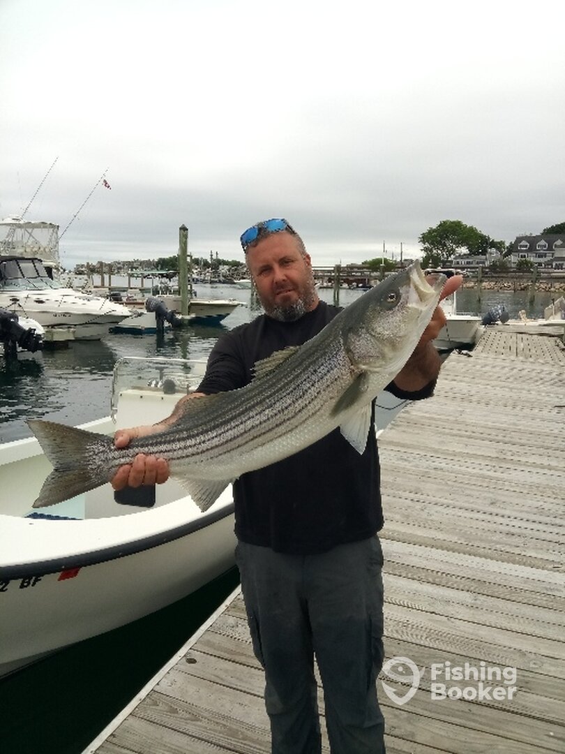 Scituate Report Photo 0