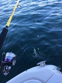 fishing rods for children