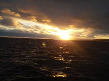 Cuvu Report Photo 2