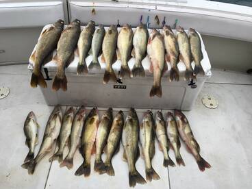Nanticoke Report Photo 2
