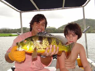 Panama City Report Photo 2