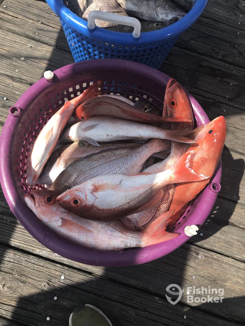 Carolina Beach Report Photo 0