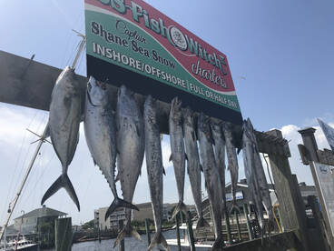 Carolina Beach Report Photo 1