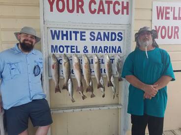 Todays Catch
