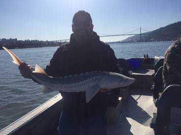 Sturgeon are biting