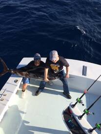 Miami Report Photo 2