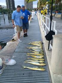 Hot Shot out of Miami