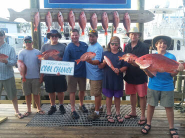 Have Red snapper trips available