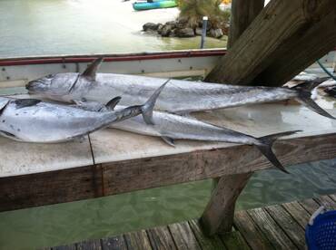 Slabs!!!