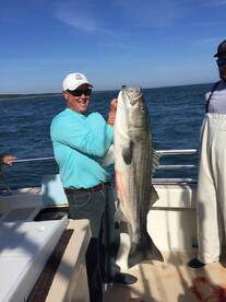Montauk Report Photo 1