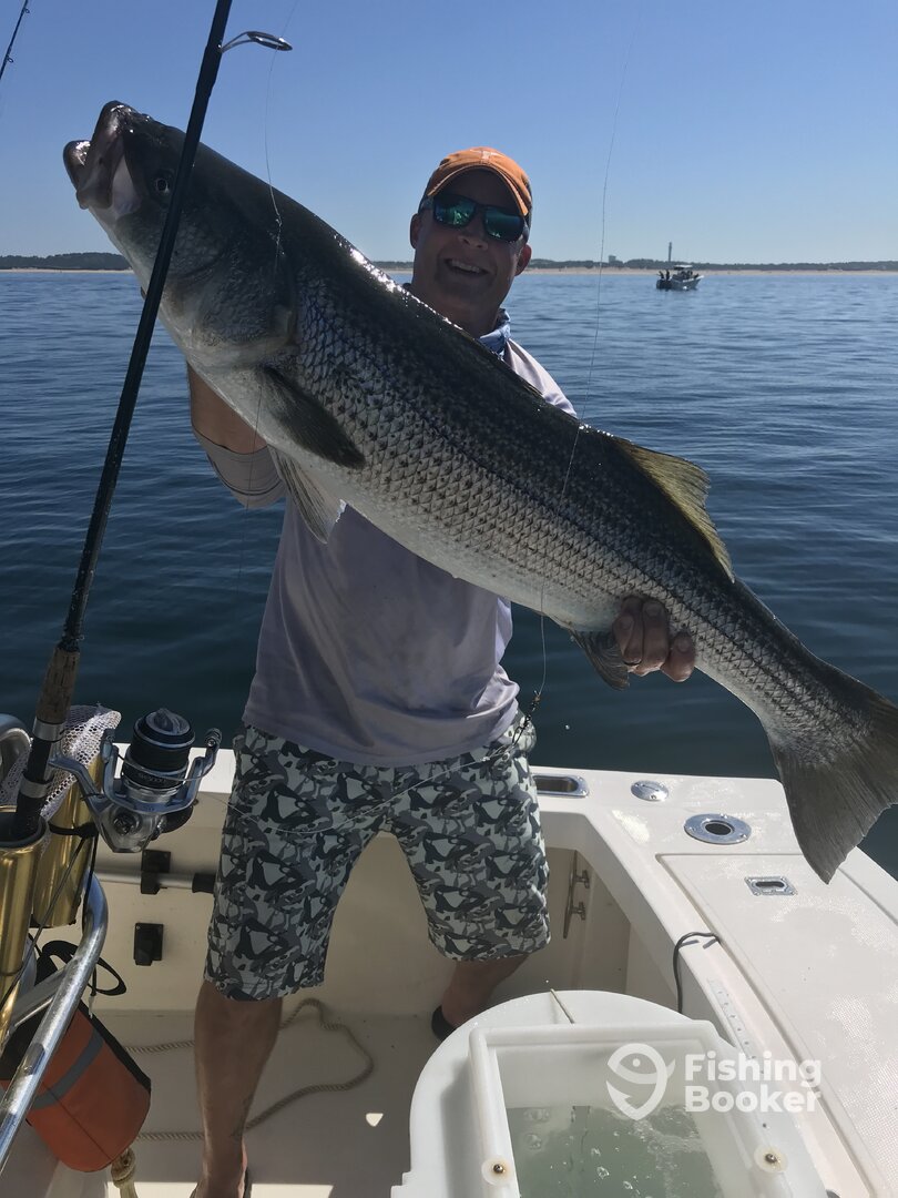 Scituate Report Photo 0