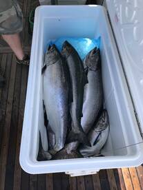 “Big girl” takes top catch today!