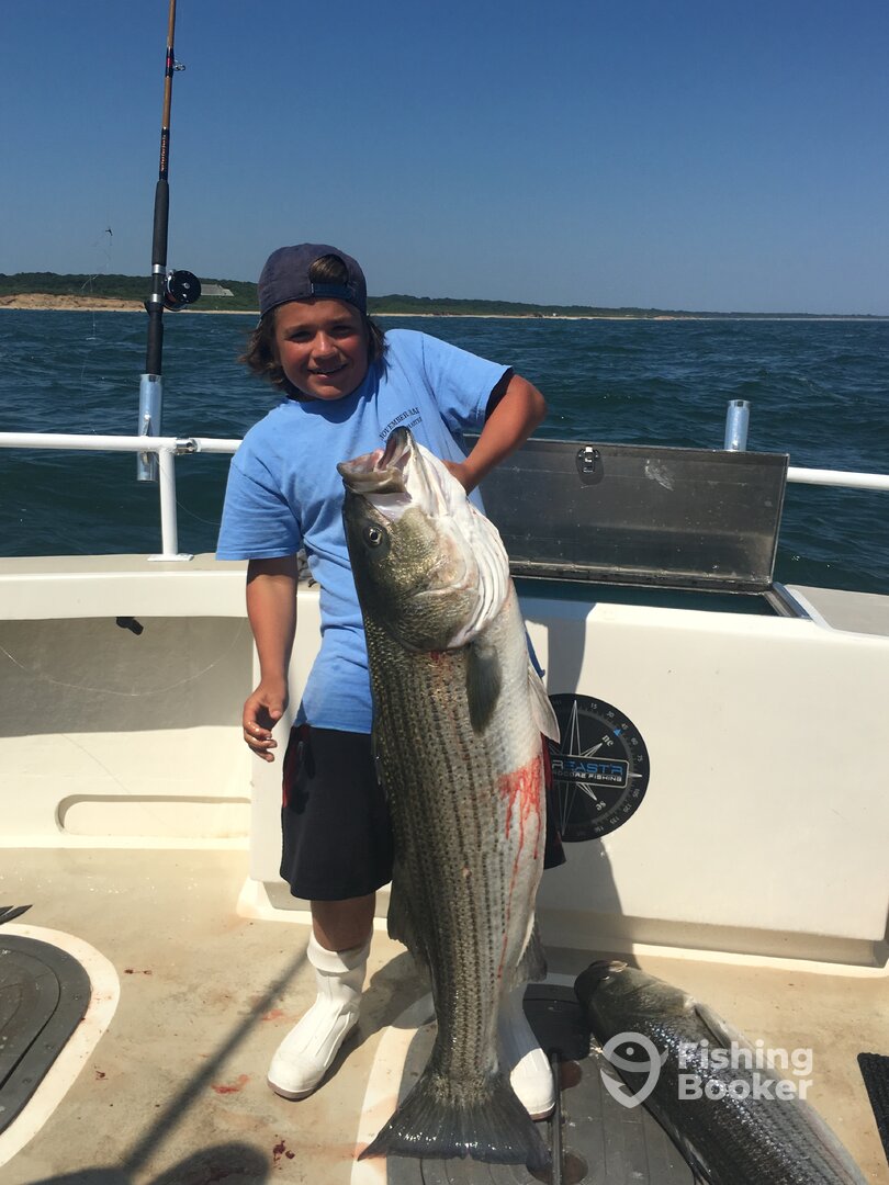 Montauk Report Photo 0