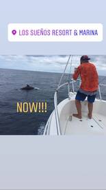 Herradura Report Photo 1