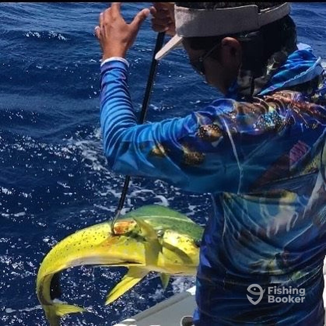 Puerto Aventuras Report Photo 0