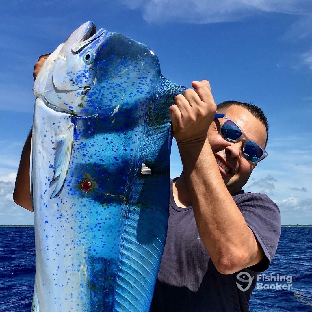 Puerto Aventuras Report Photo 0