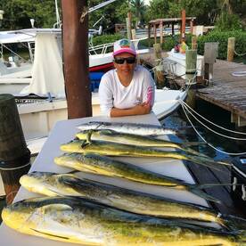 Puerto Aventuras Report Photo 2