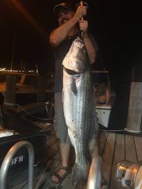 Montauk Report Photo 1
