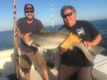 Bass Blitz in Montauk