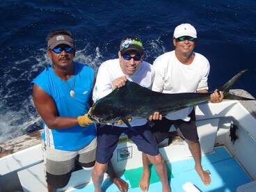 4 Sailfish in a Full day of fishing