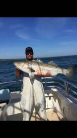 Montauk Report Photo 1