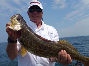 Walleye's on fre in Lake Erie!