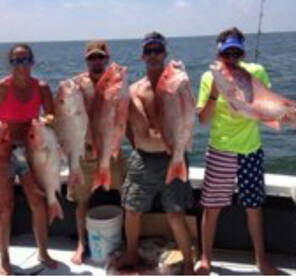 Biloxi Report Photo 2