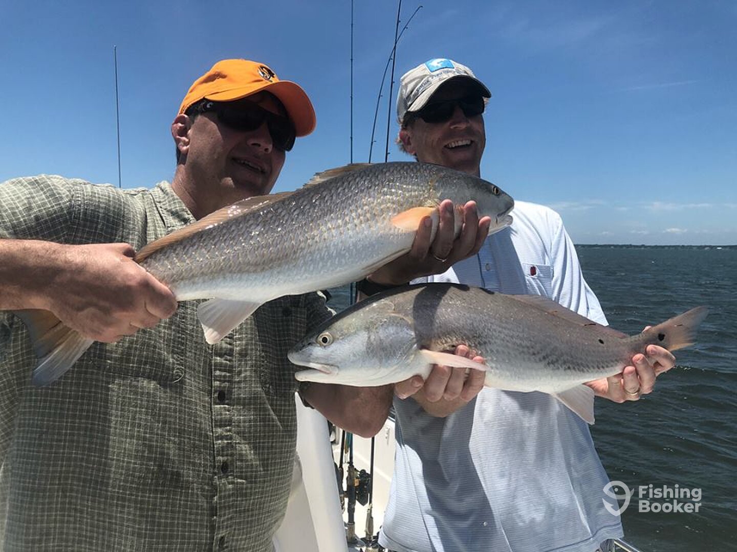 Beaufort Report Photo 0