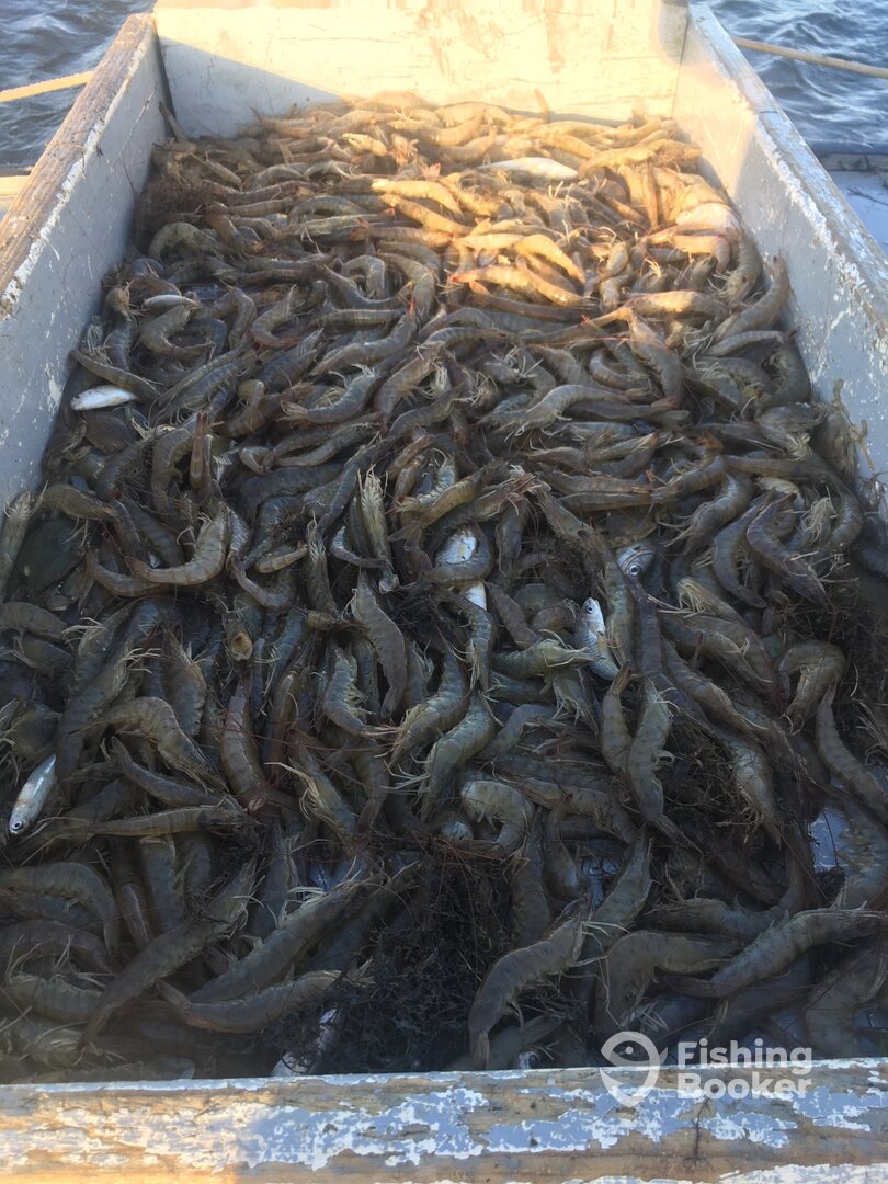 Manns Harbor Report Photo 0