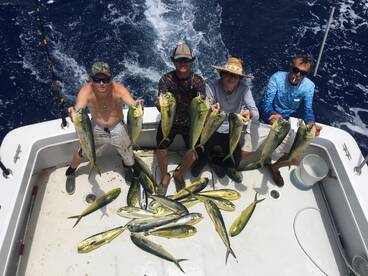 Mahi Mahi Mania 