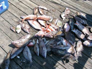 Carolina Beach Report Photo 2