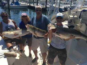 Montauk Report Photo 2