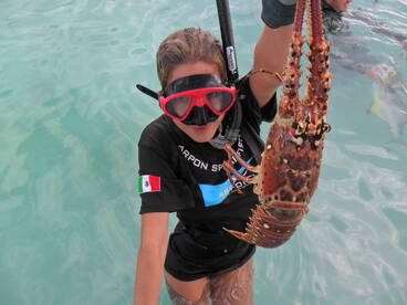 Puerto Aventuras Report Photo 2