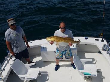 Nags Head Report Photo 1