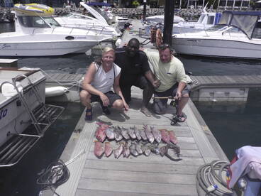 Calheta Report Photo 1