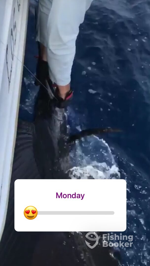 Herradura Report Photo 0