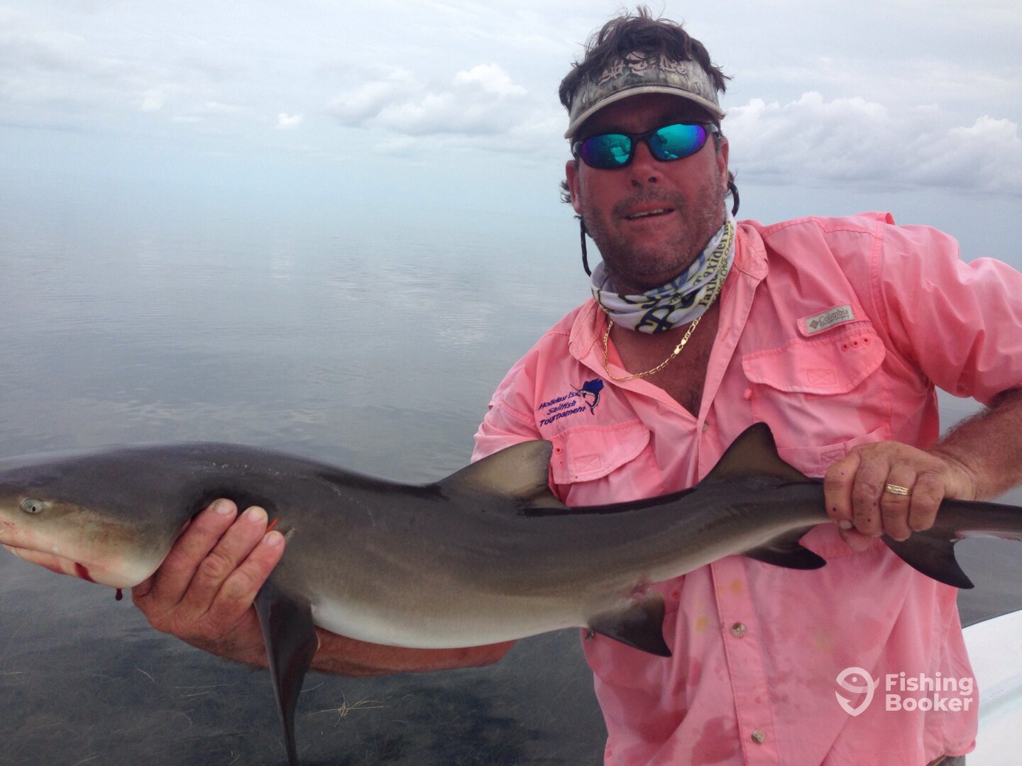 LEMON SHARK