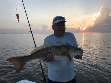 Venice Report Photo 2